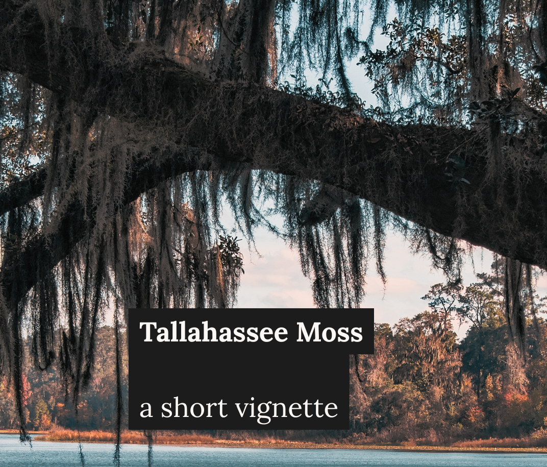 Tallahassee Moss